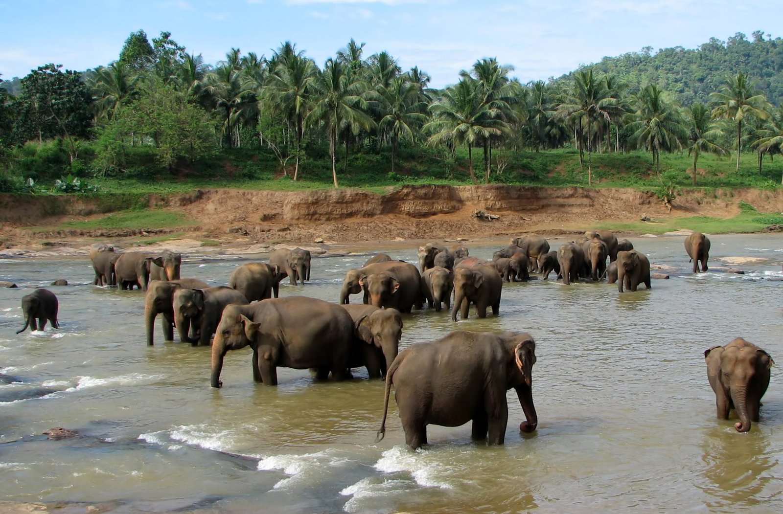 2 Days Coorg Mysore Tour Package – Abbey Falls and Mysore Palace