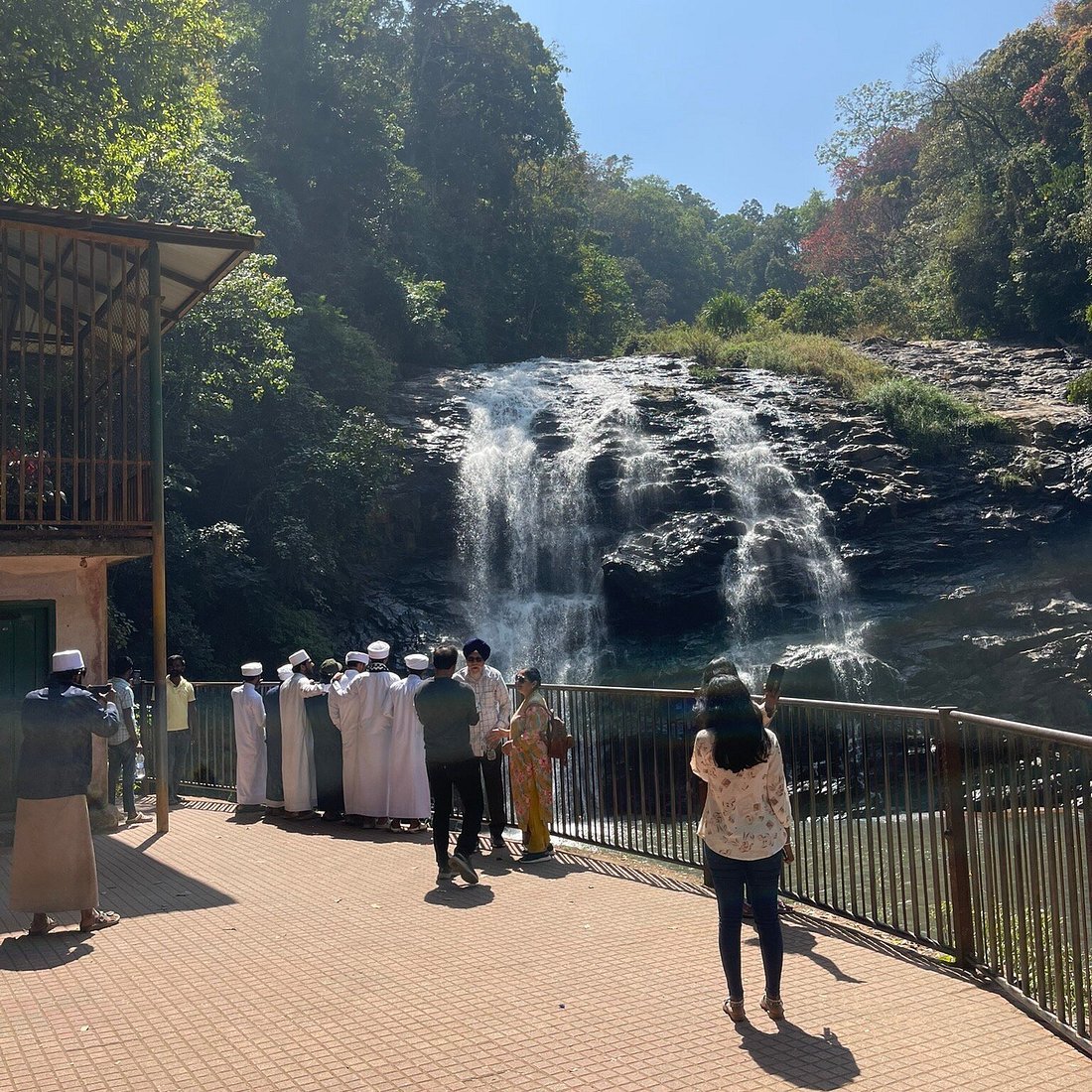 Abbey Falls Coorg cascading waterfall surrounded by lush green coffee plantations in Madikeri
