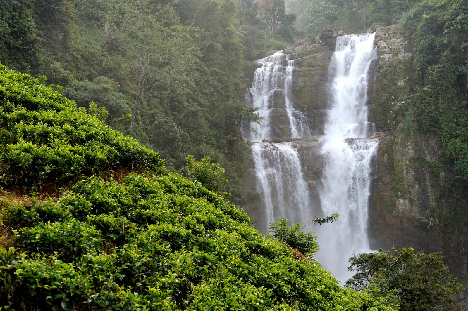 5 Days Wayanad Coorg Tour – Edakkal Caves and Abbey Falls