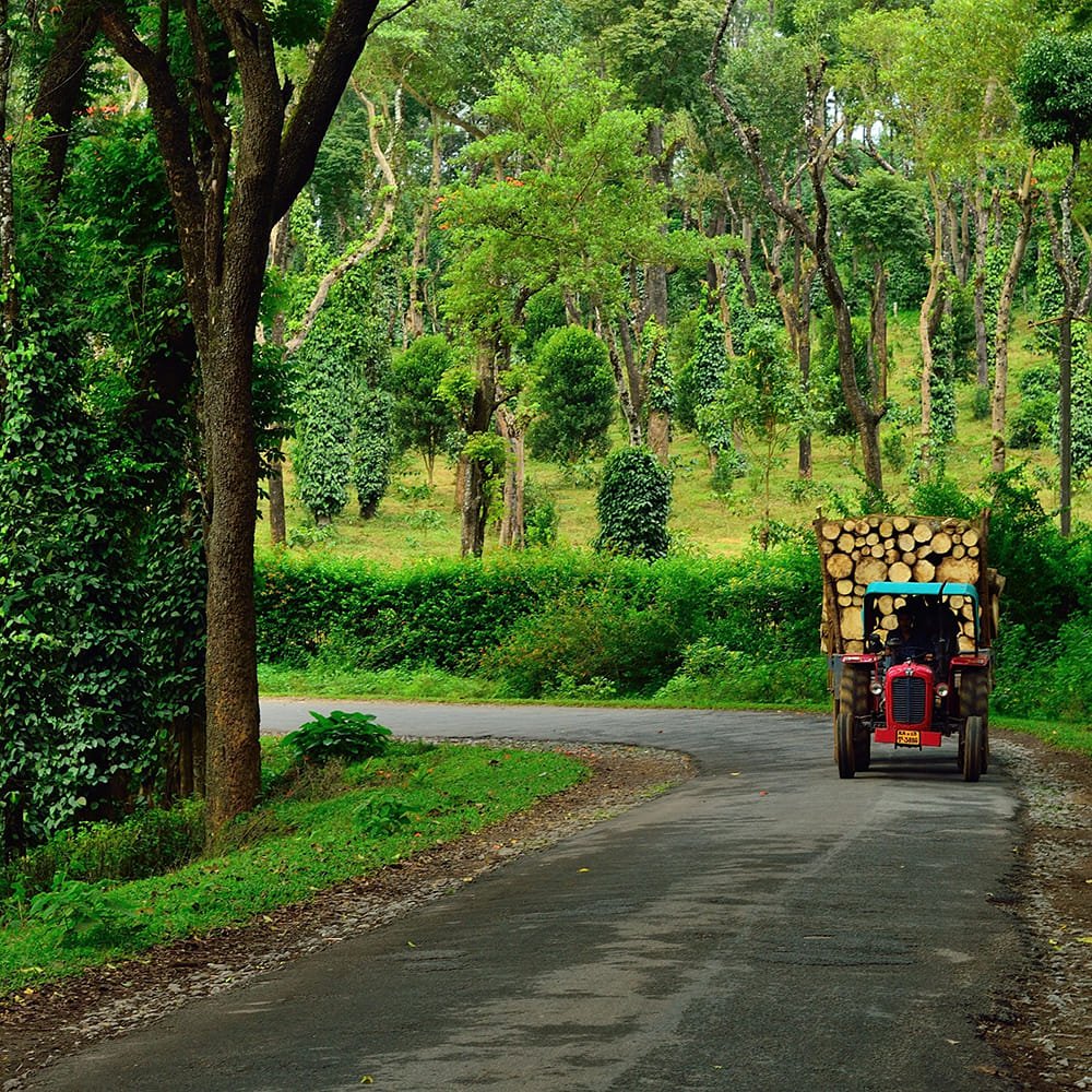 Coorg Ooty tour with monastery
