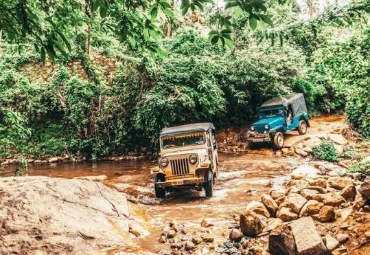 Wayanad Coorg tour