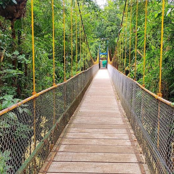Nisargadhama river island with hanging bridge and lush bamboo forest