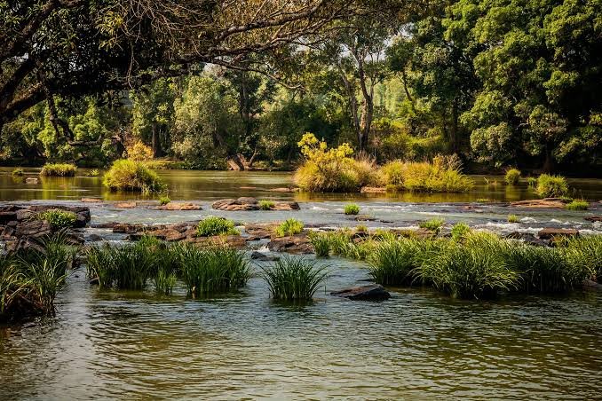 Collage of top things to do in Coorg including waterfall, temple, and coffee plantation