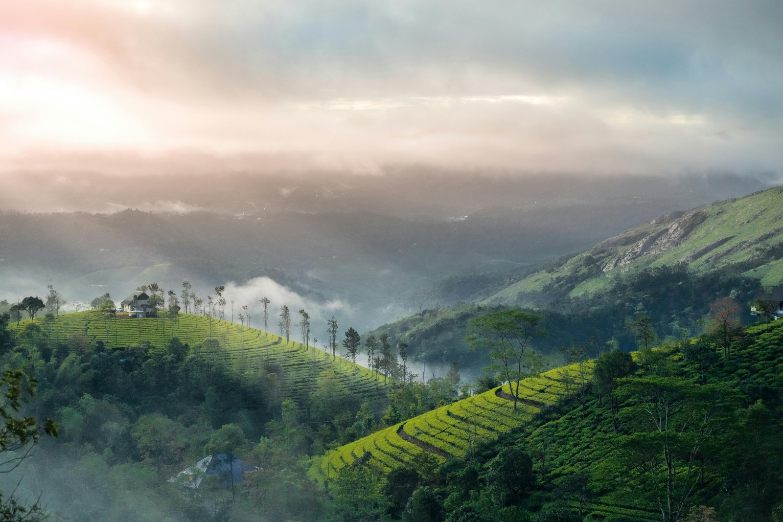 5 Days Coorg Ooty Tour – Abbey Falls, Ooty, and Coonoor tea gardens