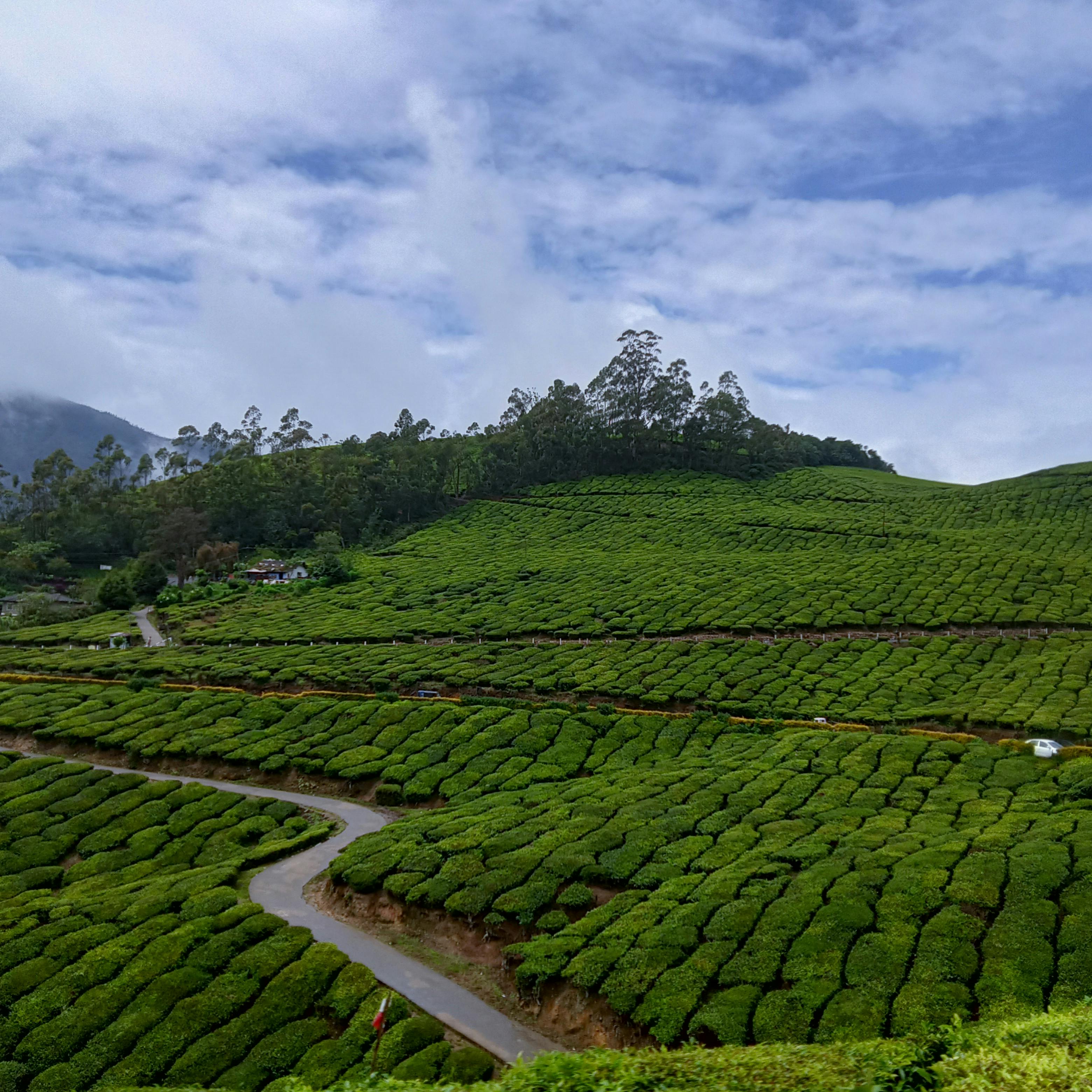 Coorg Luxury Retreat